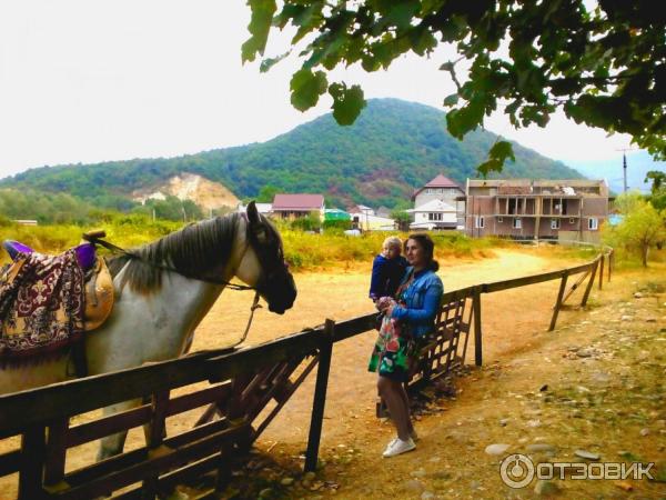 Отдых в курортном поселке Аше (Россия, Сочи) фото