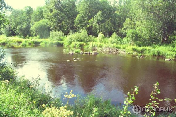 Саблинский памятник природы / Саблино (Россия, Ленинградская область) фото