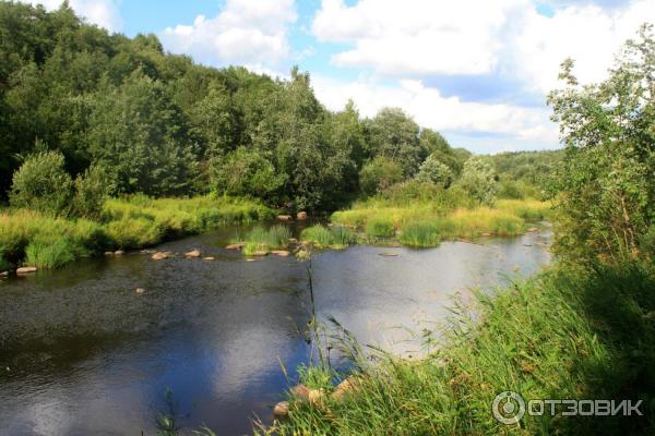 Саблинский памятник природы / Саблино (Россия, Ленинградская область) фото