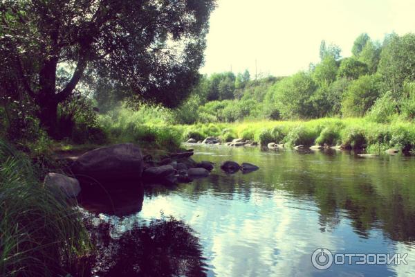 Саблинский памятник природы / Саблино (Россия, Ленинградская область) фото