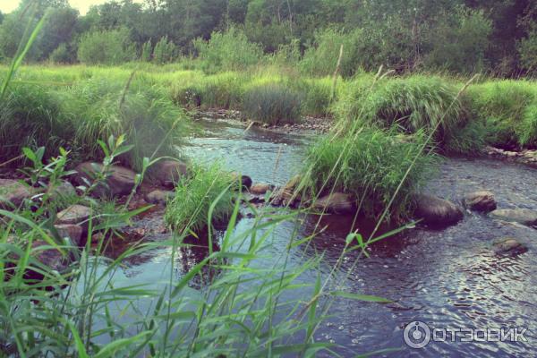 Саблинский памятник природы / Саблино (Россия, Ленинградская область) фото