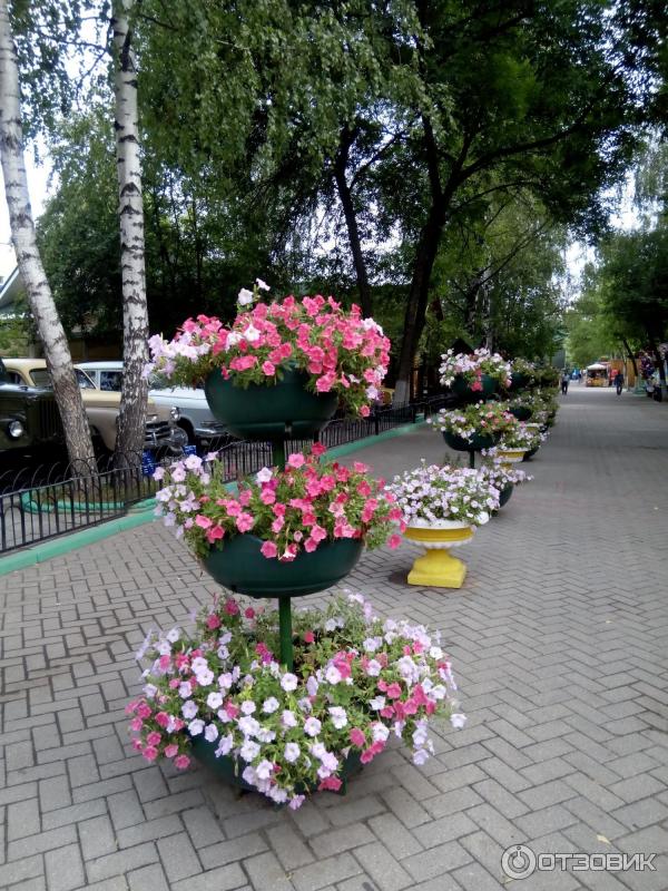 Зоопарк Лимпопо