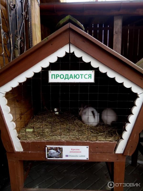 Зоопарк Лимпопо