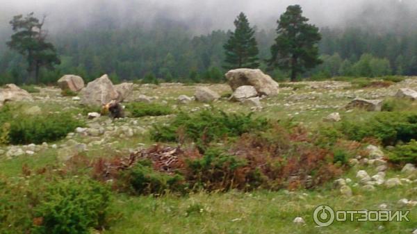 Долина Адыр-Су, подножие горы Уллу-Тау (Россия, Северный Кавказ) фото