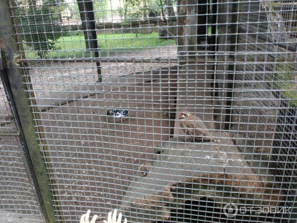 Агротуристический комплекс Коробчицы (Беларусь, Гродненская область) фото