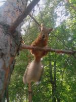 Военный санаторий "Волга" (Россия, Самара) фото