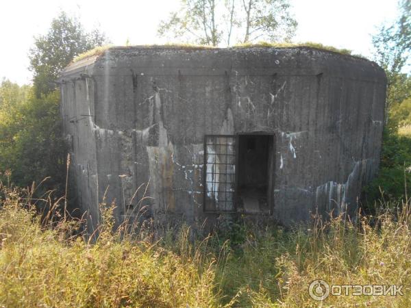 Военно-исторический комплекс Линия Сталина (Россия, Псковская область) фото