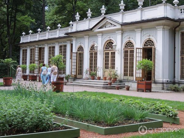 Ботанические экскурсии в Летнем саду (Россия, Санкт-Петербург) фото