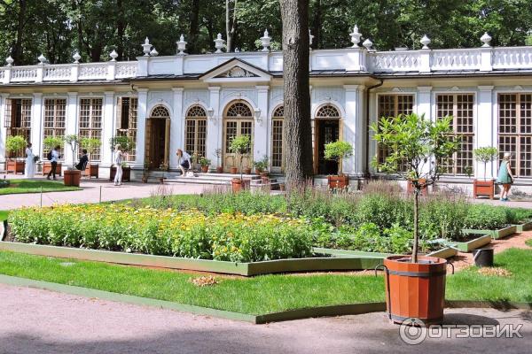 Ботанические экскурсии в Летнем саду (Россия, Санкт-Петербург) фото