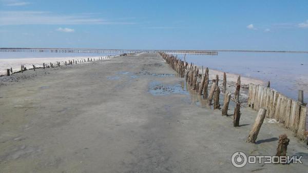 Пансионат Киевская Русь (Украина, Генгорка) фото