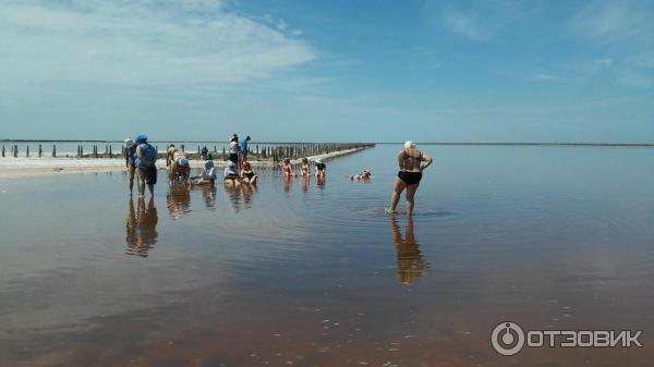 Розовое озеро после большого дождя.