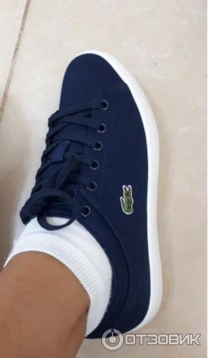 Женские кеды Lacoste фото