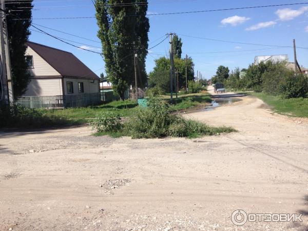 Фролово. Сорняки на дорогах