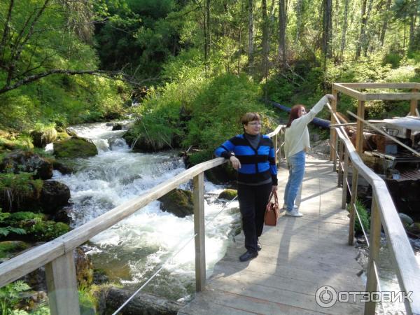 Турбаза Эстюба (Россия, Горный Алтай) фото