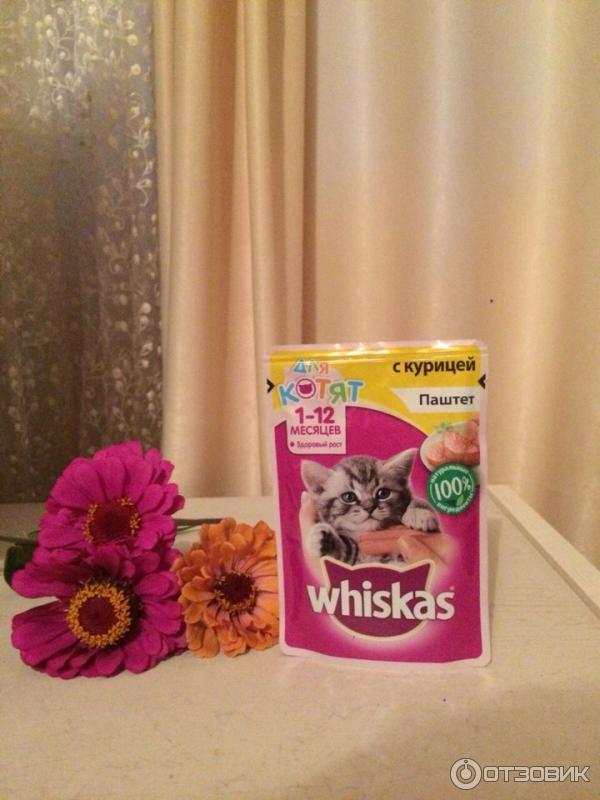 Корм для котят Whiskas Паштет с курицей фото