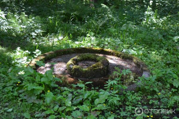 Усадьба инженера Токарского Заветное (Россия, Новгородская область) фото