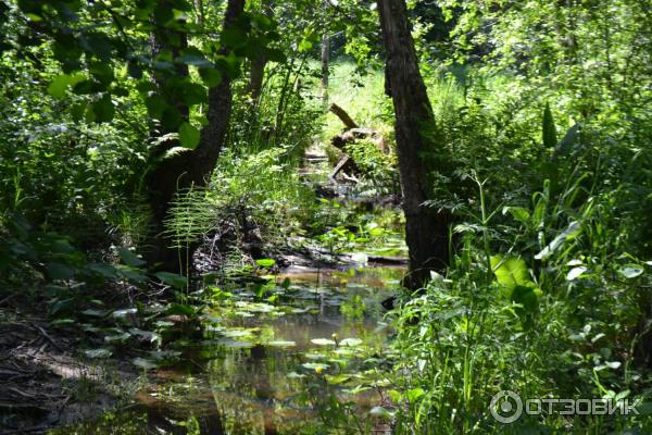 Усадьба инженера Токарского Заветное (Россия, Новгородская область) фото