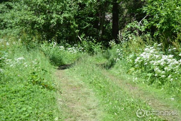 Усадьба инженера Токарского Заветное (Россия, Новгородская область) фото