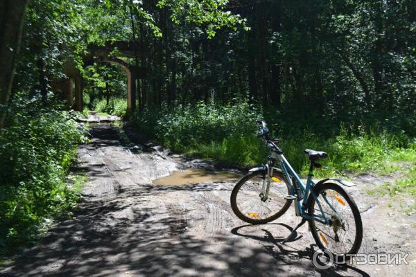 Усадьба инженера Токарского Заветное (Россия, Новгородская область) фото