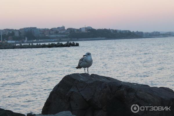 Экскурсия Старый Несебр (Болгария, Бургасская область) фото