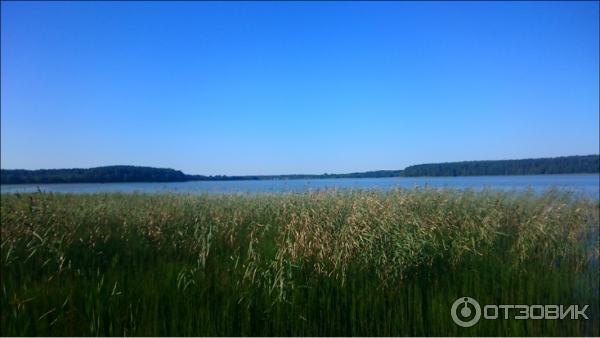 Серменок