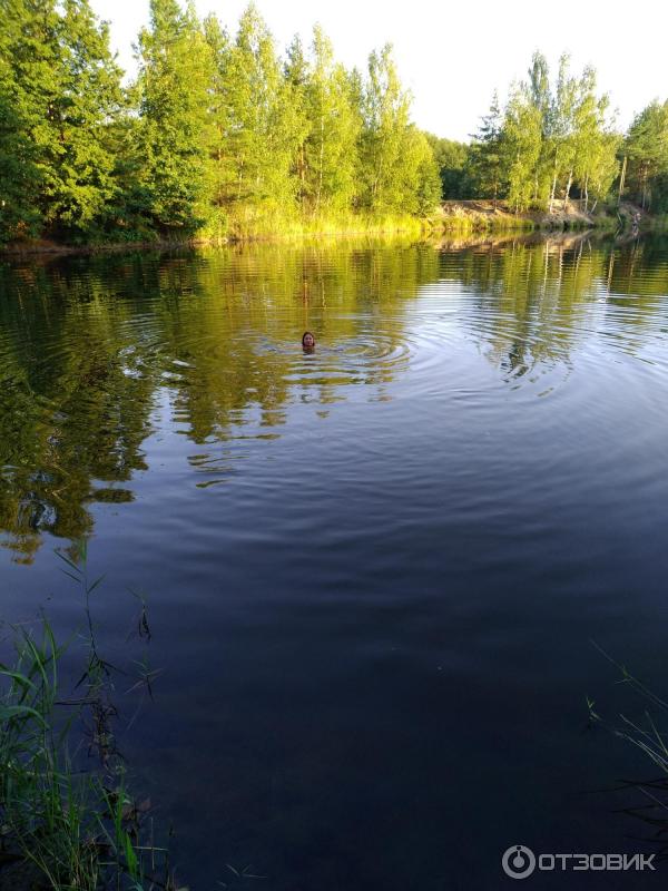 Голубое озеро (Россия, Воскресенск) фото