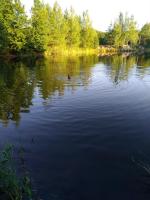 Голубое озеро (Россия, Воскресенск) фото