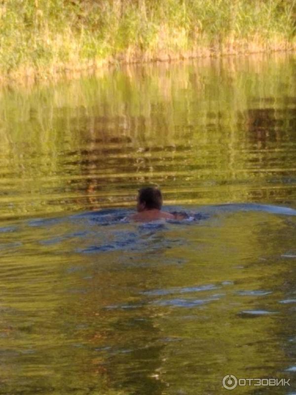 Голубое озеро (Россия, Воскресенск) фото