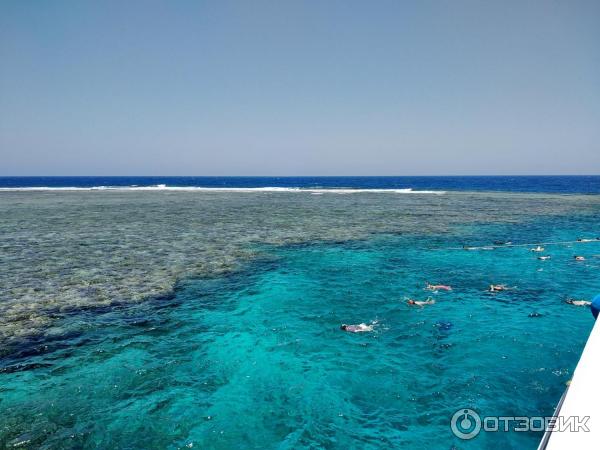 Дайвинг в г. Марса-эль-Алам (Египет, Красное Море) фото