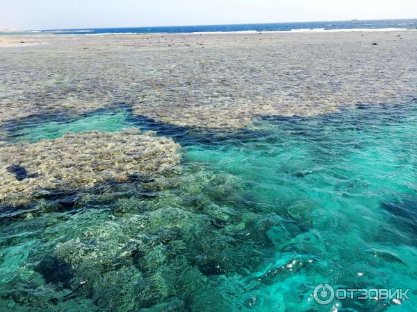 Дайвинг в г. Марса-эль-Алам (Египет, Красное Море) фото