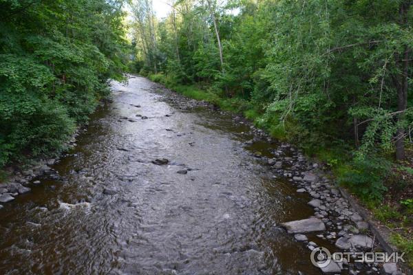 Пешеходная экскурсия по городу Петрозаводск фото