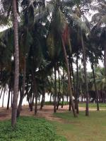 Отдых на о. Хайнань (Китай) фото