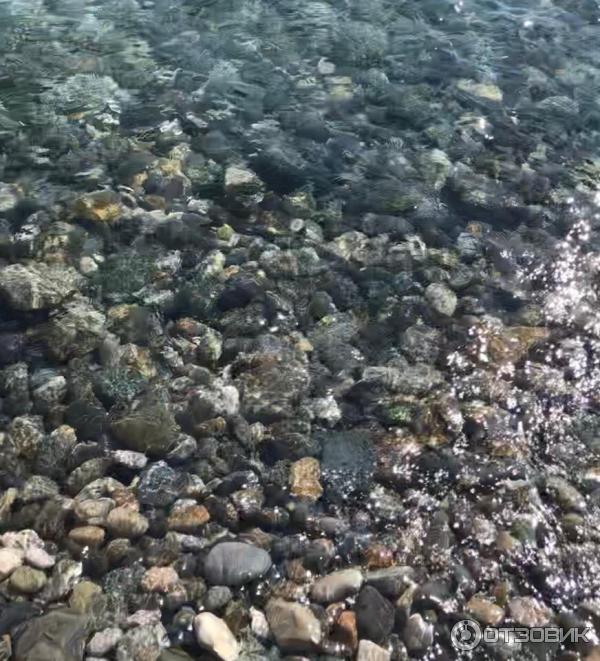 Море и галька