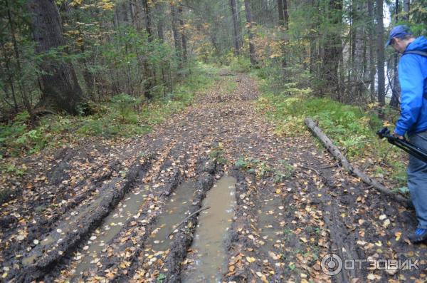 Гора Медведь Камень (Россия, Нижний Тагил) фото