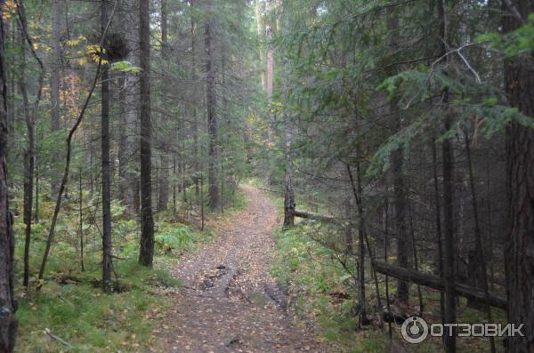 Гора Медведь Камень (Россия, Нижний Тагил) фото