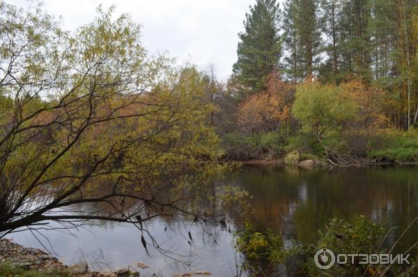 Гора Медведь Камень (Россия, Нижний Тагил) фото