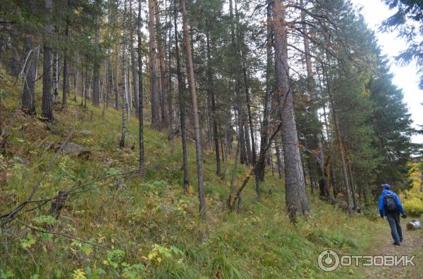 Гора Медведь Камень (Россия, Нижний Тагил) фото