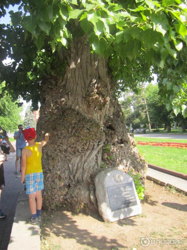 Достопримечательности Волгограда (Россия, Волгоградская область) фото