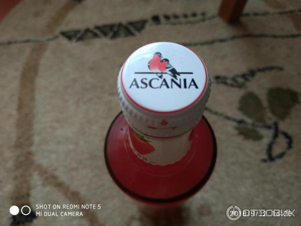 Безалкогольный сильногазированный напиток AscAnia фото