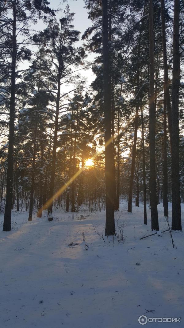 Загородный клуб Велес (Россия, Владимирская область) фото