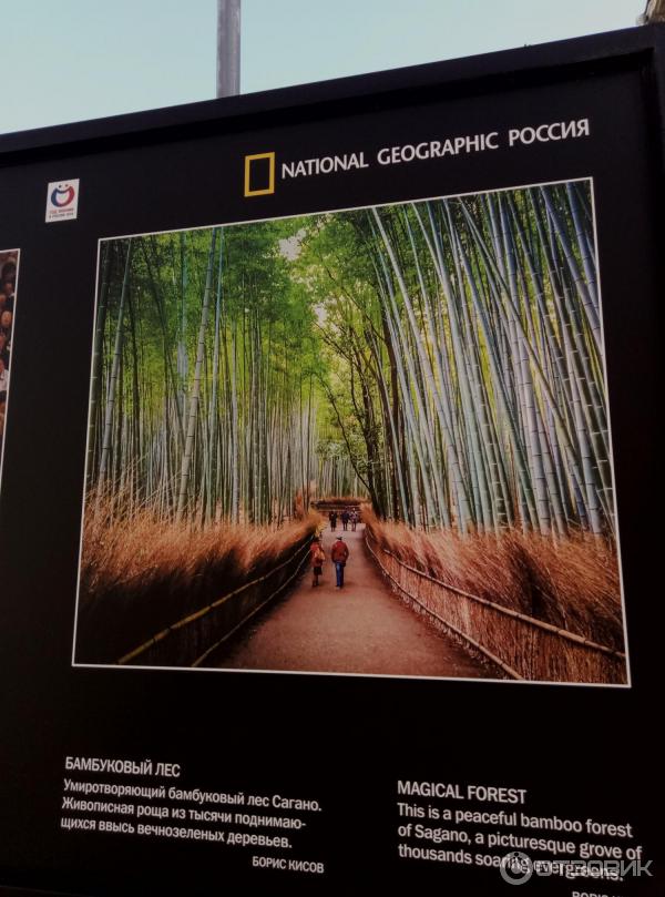 Выставка по итогам фотоконкурса Моя Япония *National Geographic Россия* - Москва