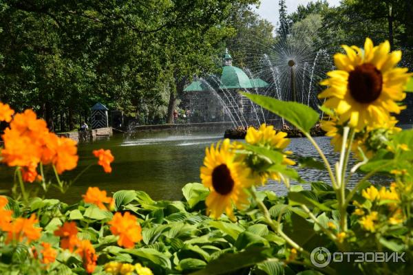 Автомобильное путешествие по Ленинградской области и Карелии из Москвы фото