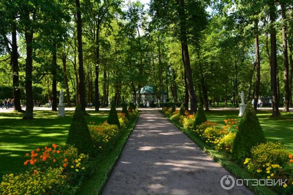 Автомобильное путешествие по Ленинградской области и Карелии из Москвы фото