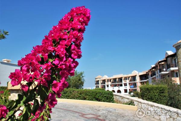 Отель Aldemar Olympian Village - корпус