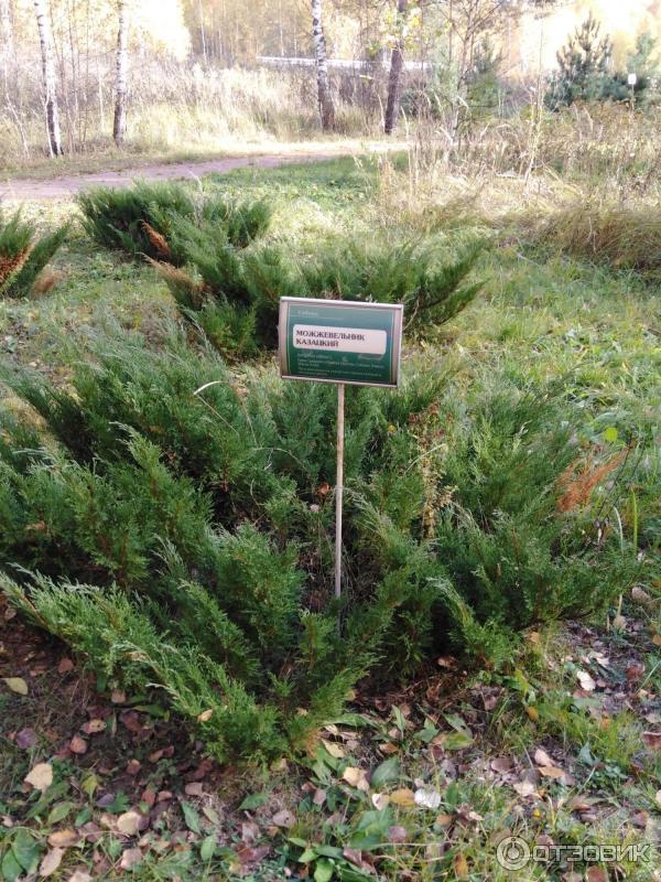 Национальный парк Лосиный Остров (Россия, Москва) фото