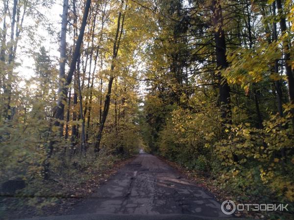 Дорога в Лосином острове