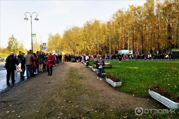 Прогулка по Павловскому парку (Россия, Санкт-Петербург, Павловск) фото