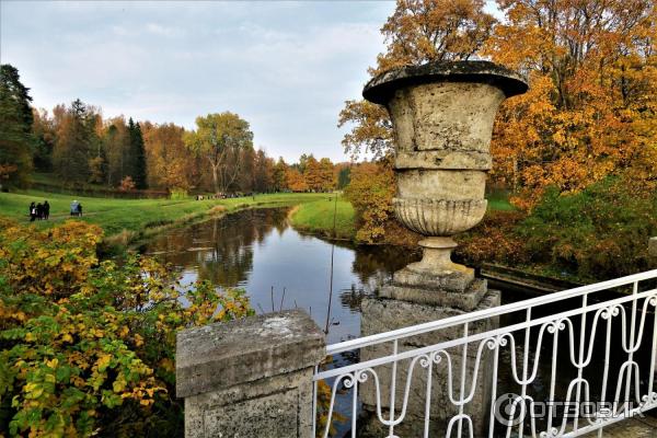 Прогулка по Павловскому парку (Россия, Санкт-Петербург, Павловск) фото