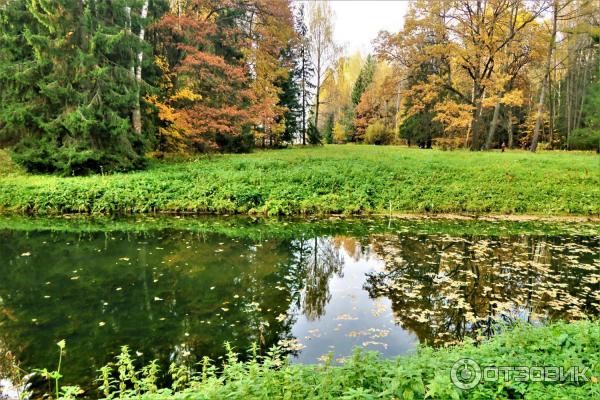 Прогулка по Павловскому парку (Россия, Санкт-Петербург, Павловск) фото