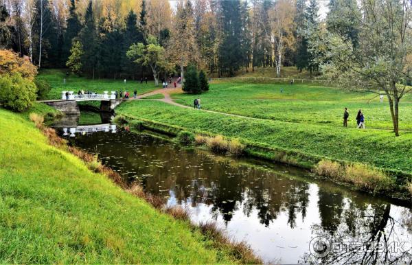 Прогулка по Павловскому парку (Россия, Санкт-Петербург, Павловск) фото